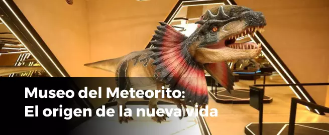 museo del meteorito el origen de la nueva vida que hacer en yucatán